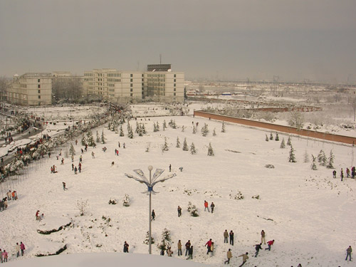 学校雪景6.jpg