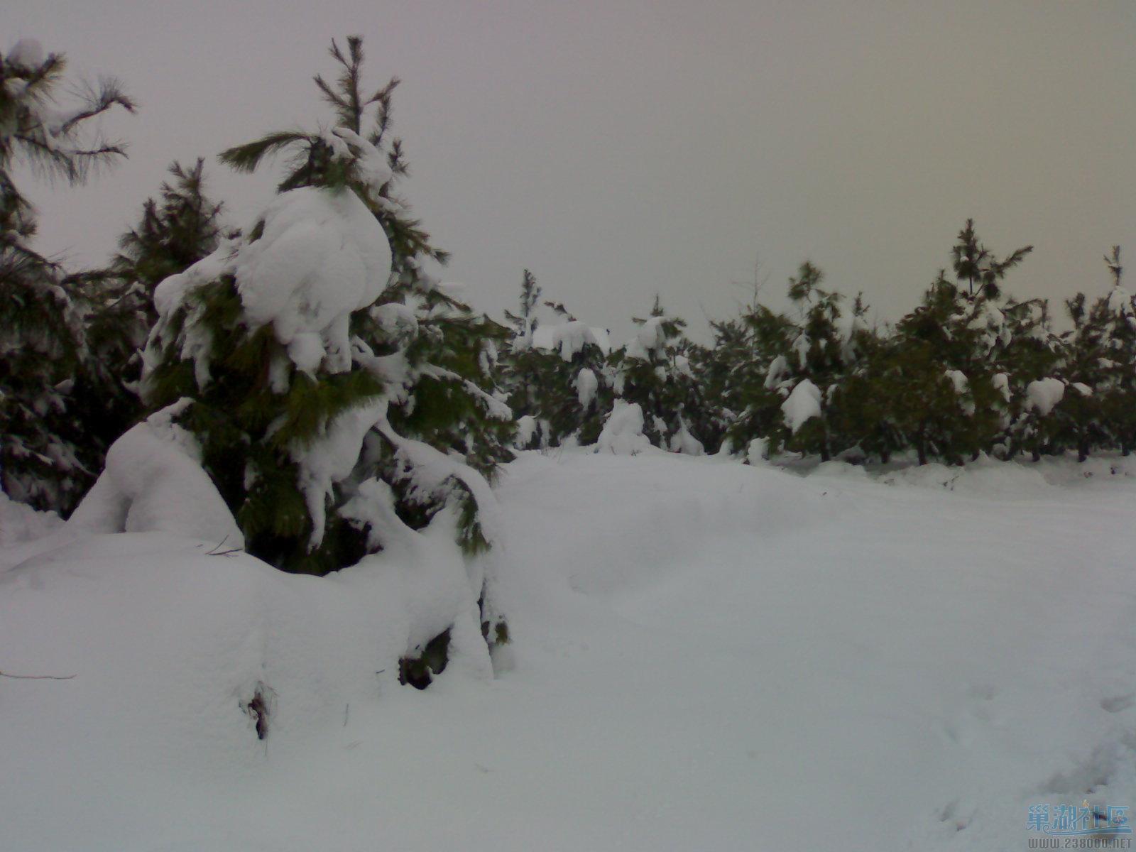 雪景9.jpg