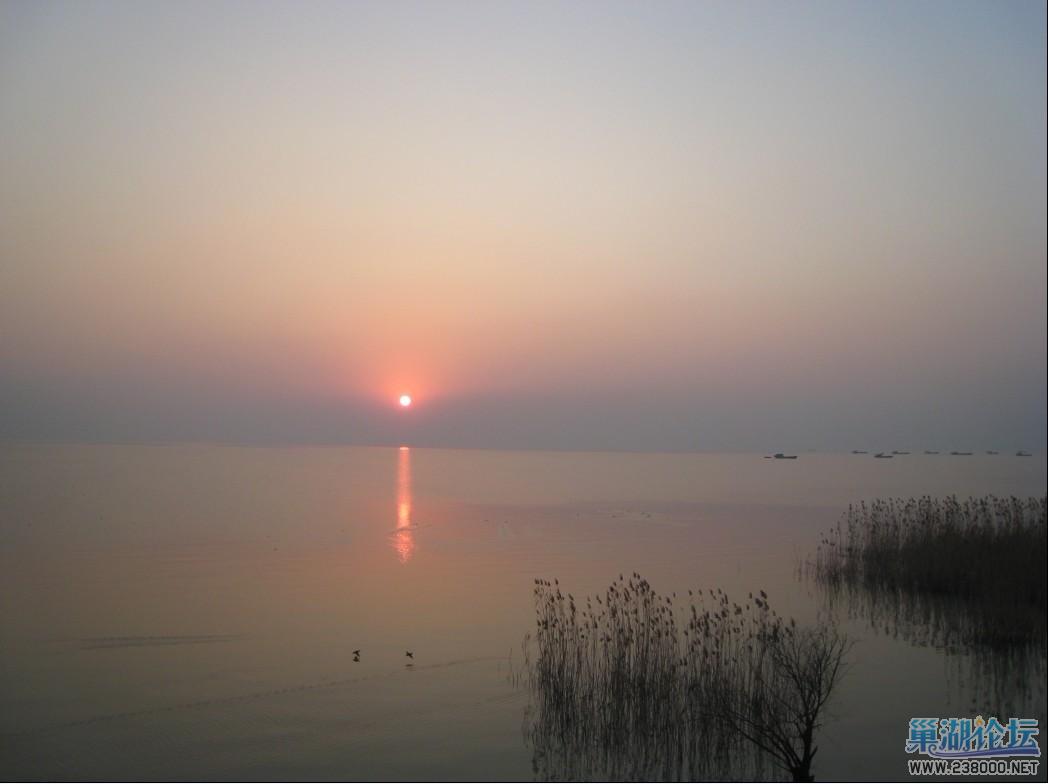 民孙湿地的落日